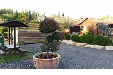 בקתות בצל הזית - מה בסביבה