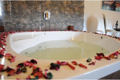 בקתות בצל הזית