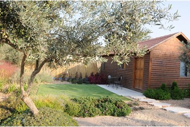 בקתות בצל הזית - הבריכה והחצר