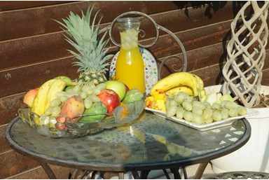 בקתות בצל הזית - הבריכה והחצר