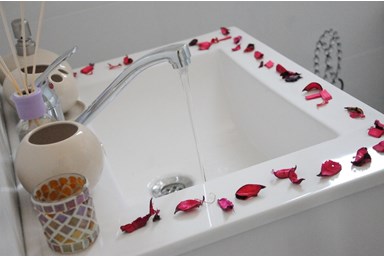 בקתות בצל הזית - הבריכה והחצר