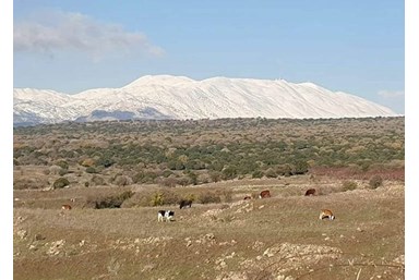 אירוח האציל בחרמון - החצר והטרקלין