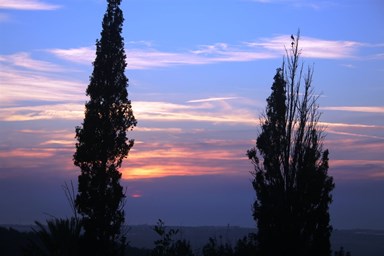 בתיה וקלוד בעין הוד - נוף ים