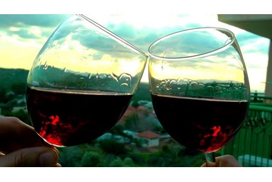 דירת נופש שירת הים