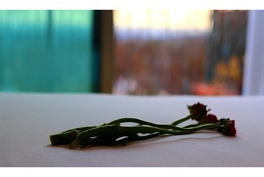 דירת נופש שירת הים - זיכרון יעקב