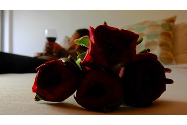 דירת נופש שירת הים