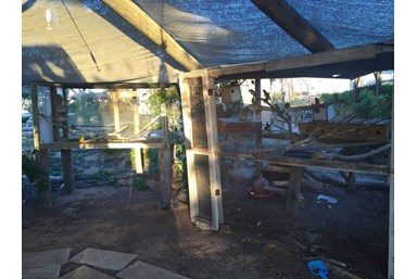 בקתות יונתן - החצר והסביבה