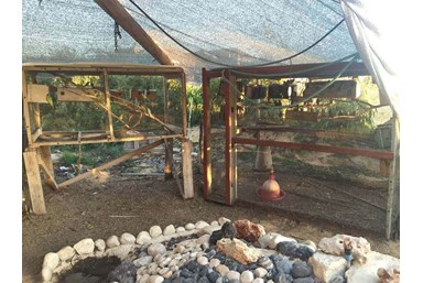 בקתות יונתן - החצר והסביבה