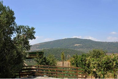 רויאל הגליל - החצר והבריכה