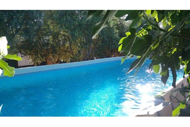 רויאל הגליל - החצר והבריכה