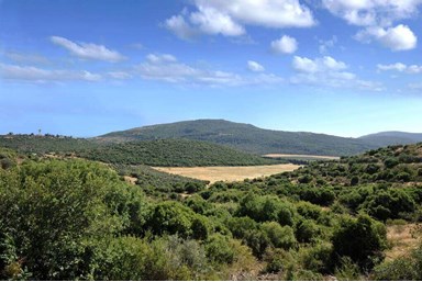 רויאל הגליל - החצר והבריכה