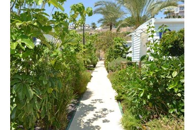 חוות כנרת - אירוח כפרי - חדרי סטודיו