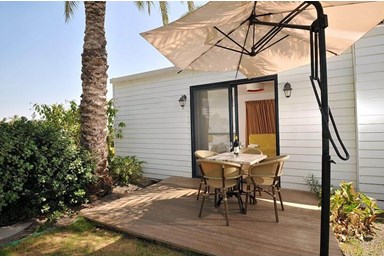 חוות כנרת - אירוח כפרי - החצר והסביבה