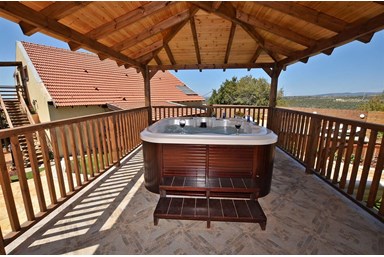 אחוזת מיכל - בריכה, ג'קוזי ספא וחצר