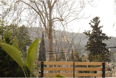 שירת הבריאה - המרפסת והנוף