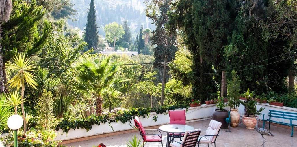 שירת הבריאה המרפסת חדשות (2).JPG