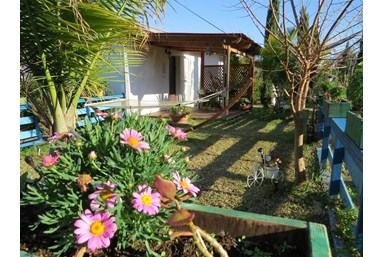 צימר בלטרון - מתחם החצר