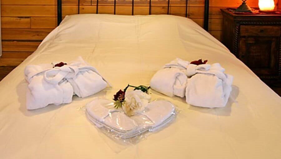 בקתה ברמה- מעלה גמלא הסוויטה (9).jpg