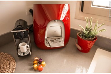 שירת המדבר יריחו - סוויטת ירח דבש