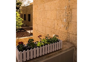 שירת המדבר יריחו - סוויטת הגן