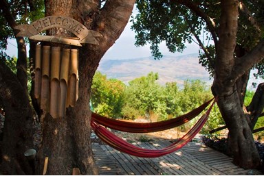 יערת הדבש בגליל