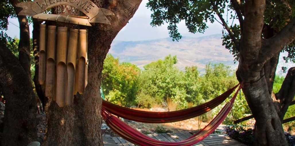 יערת הדבש בגליל new (11).jpg