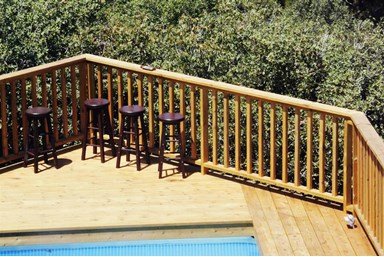 יערת הדבש בגליל