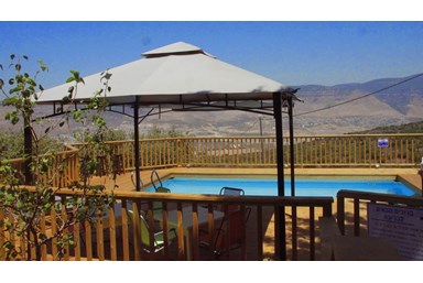 יערת הדבש בגליל