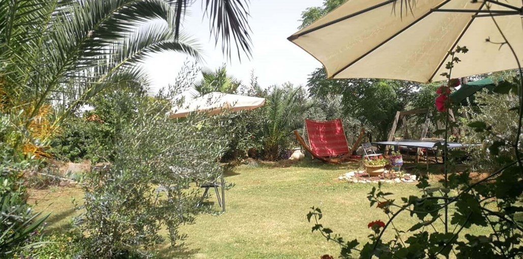 מבט לכנרת חדש 29-7 (2).jpeg