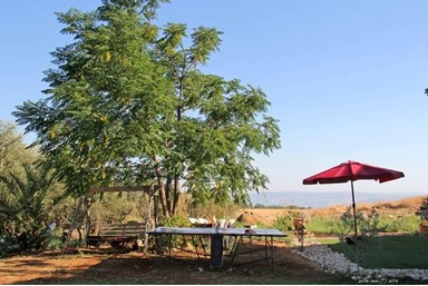 מבט לכנרת  - החצר והנוף