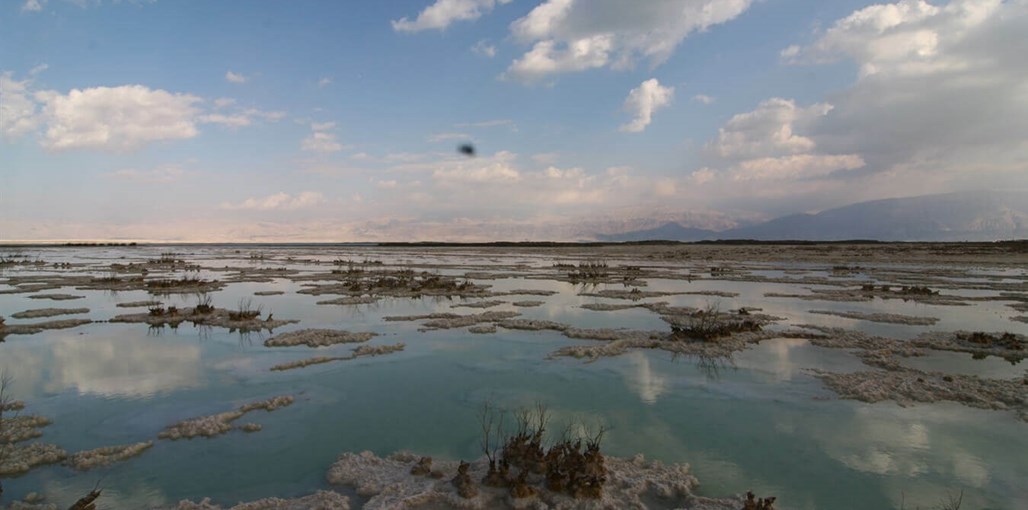 ליבי במדבר הנוף והסביבה (2).JPG