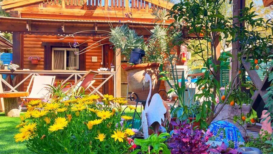 ליבי במדבר WhatsApp Image 2020-03-08 at 09.40.54 (1).jpeg