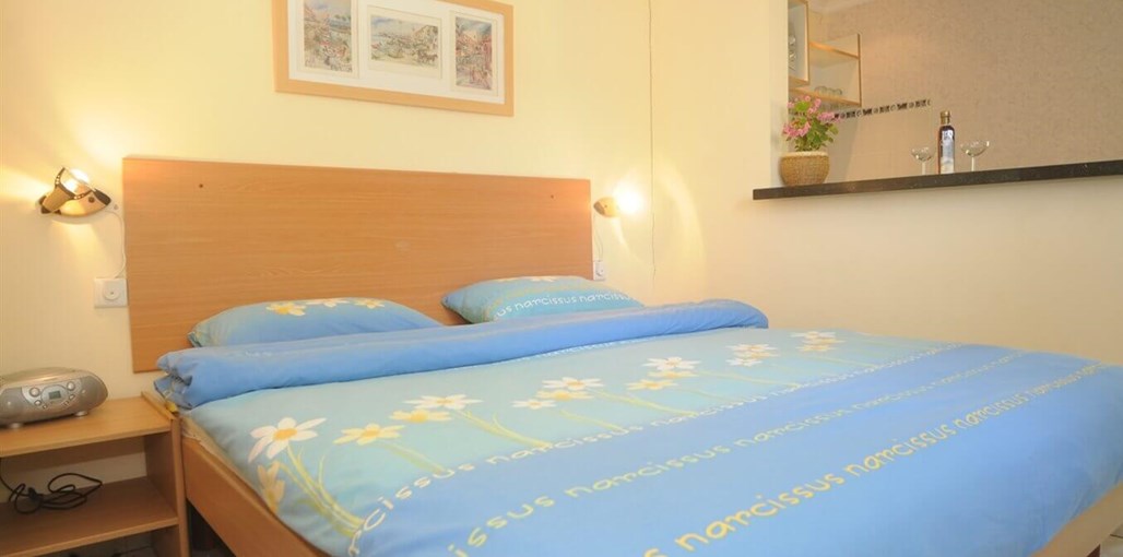 אירוח איריס DSC_6001.JPG