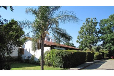 אירוח איריס - הבריכה והחצר