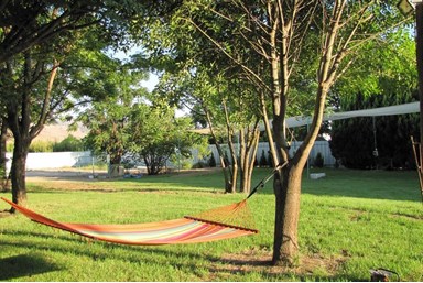 אירוח איריס - הבריכה והחצר