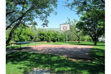 אירוח איריס - הבריכה והחצר