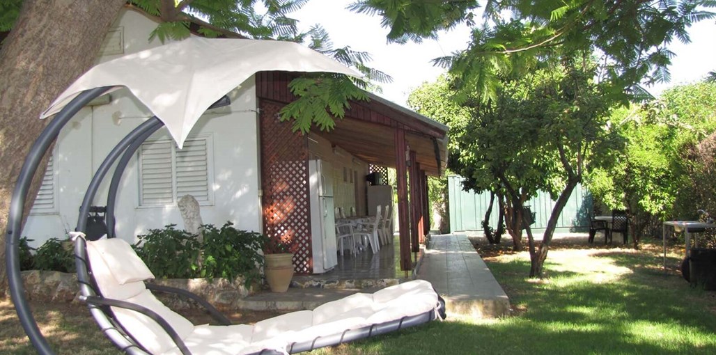 אירוח איריס IMG_2483.JPG