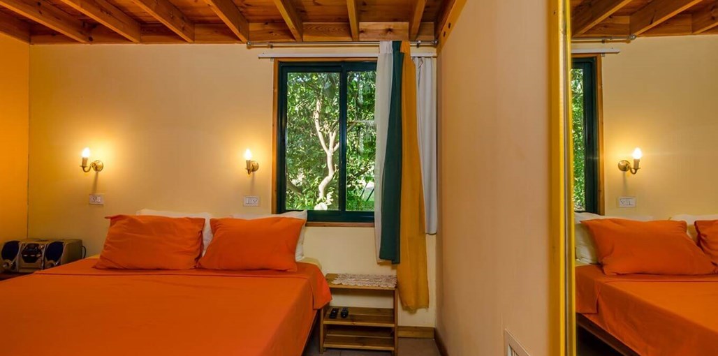 בפרדס תפוז (8).jpg