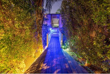 אהבתיה - החצר והנוף