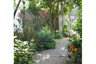 הנקודה ה- 12 - הצימרים