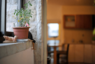 סוויטות נופש בנחלאות