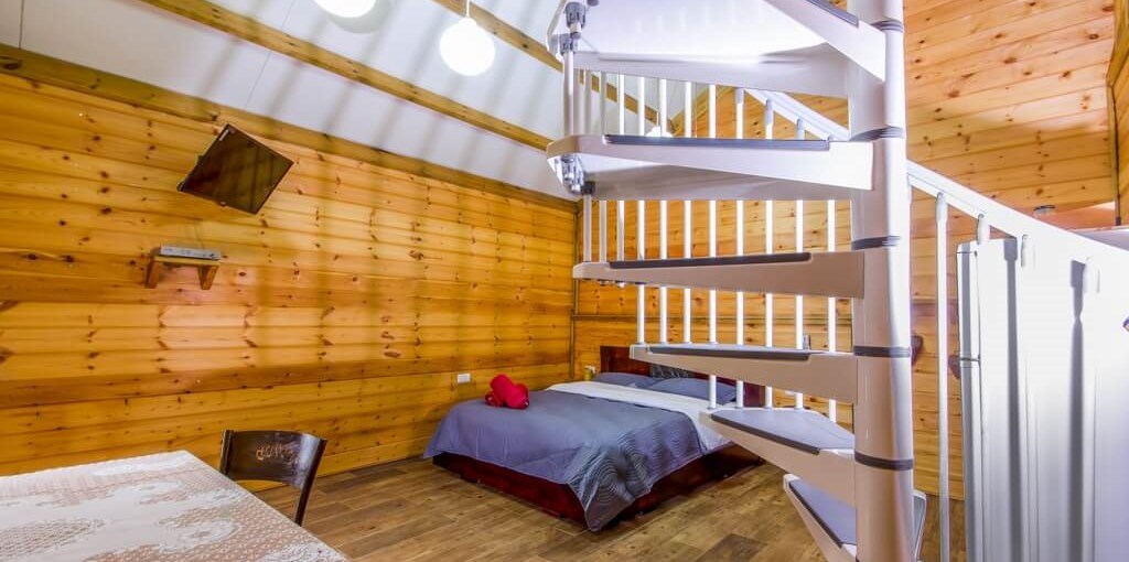 בצל הפסיפלורה משפחתיות (3).jpg