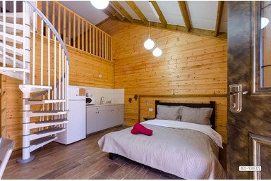 בצל הפסיפלורה