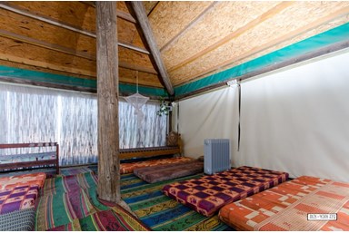 בצל הפסיפלורה