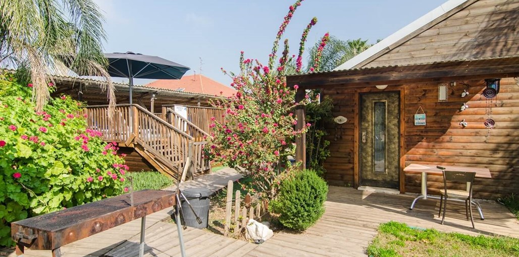 בצל הפסיפלורה DSC_1579.jpg