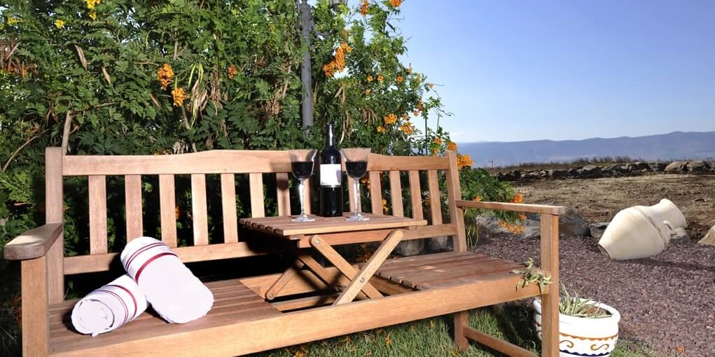 בקתות שגב ברמה חצר ובריכה (1).jpg