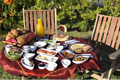 בקתות שגב ברמה - סוויטת ספיר