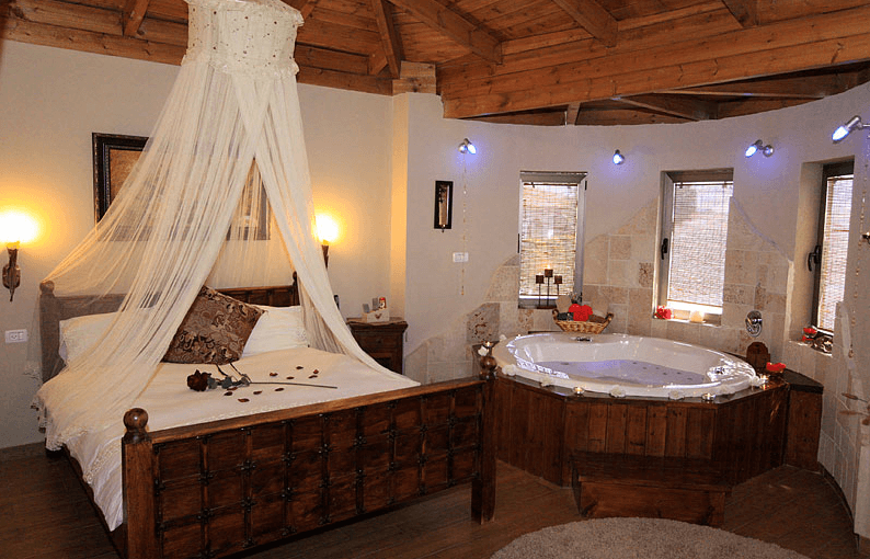 בצל הדקלים הסוויטות (4).png