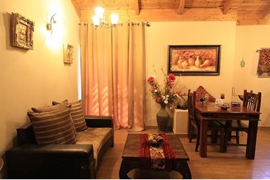 בצל הדקלים - החצר והבריכה