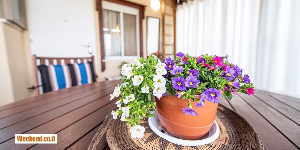 נופי נווה אילן צילומי 360 (15).jpg